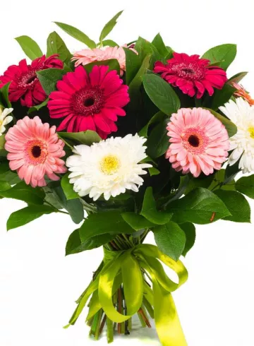 Вера и Гербера от интернет-магазина цветов в 