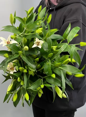 1 ветка лилии от интернет-магазина цветов в 