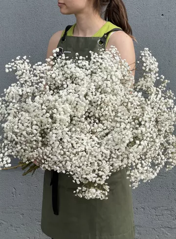 1 ветка белой гипсофилы от интернет-магазина цветов в 