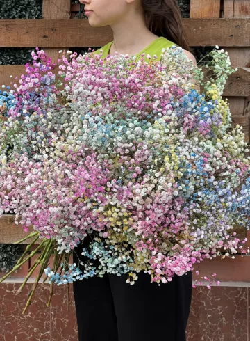 1 ветка цветной гипсофилы от интернет-магазина цветов в 