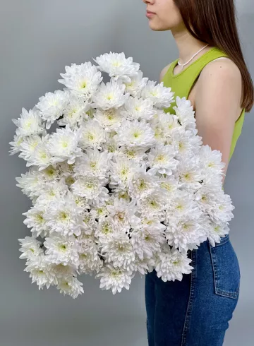 1 ветка кустовой хризантемы сорта Балтика от интернет-магазина цветов в 