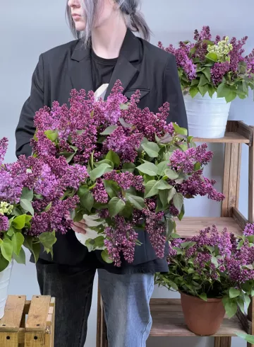 1 ветка сирени от интернет-магазина цветов в 