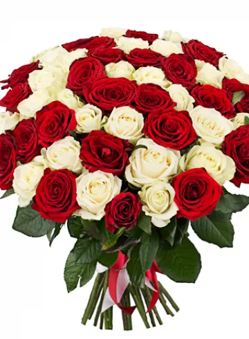 51 красно-белая роза от интернет-магазина цветов в 