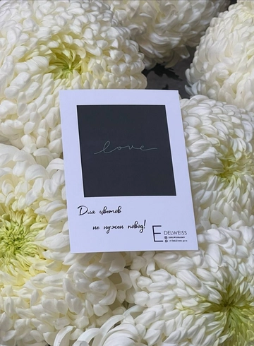 Открытка - Для цветов не нужен повод от интернет-магазина цветов в 