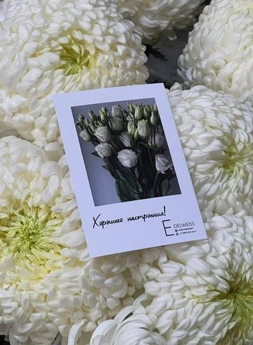 Открытка - Хорошего настроения от интернет-магазина цветов в 