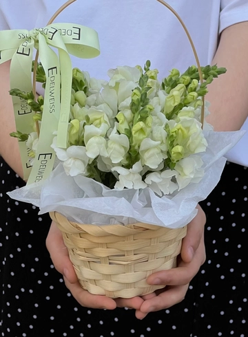 Корзинка с антирриниумами от интернет-магазина цветов в 