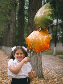 Шар листик от интернет-магазина «» в 