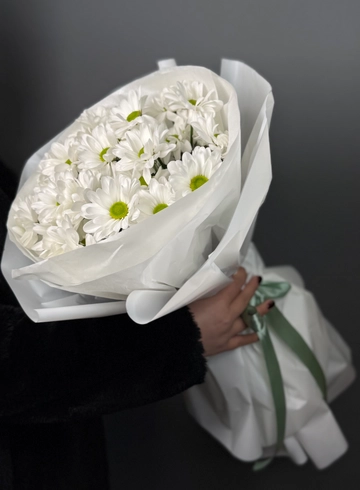 Букет из ромашковидной хризантемы «Стильный кругляш» от интернет-магазина цветов в 